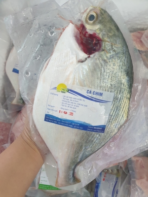 Cá Chim Trắng